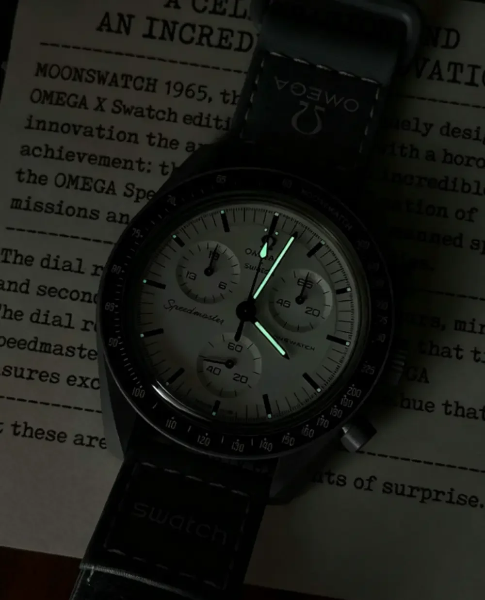 Swatch x Omega Bioceramic MoonSwatch 1965 Grey White SO33M106